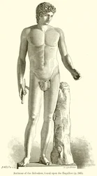 Antinous of the Belvedere, Found upon the Esquiline