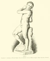 Apollo