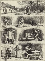 Apple Gathering and Cider Making in Devonshire