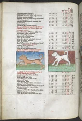 Canis maior and Canis minor depicted as dogs 