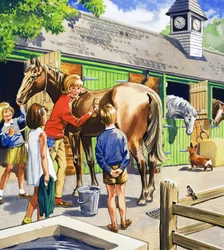At the Stables