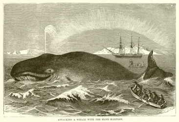 Attacking a Whale with the Hand Harpoon
