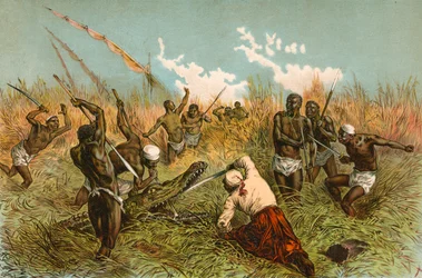 Battle with a Crocodile