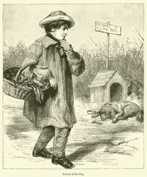 Beware of the Dog