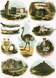 Biblical Illustrations