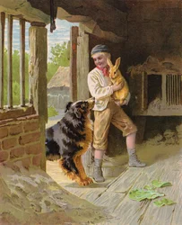 Boy with a dog and a rabbit on a farm