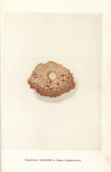 Brazilian Diamond in Matrix, from Edwin Streeter