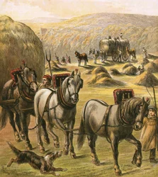 Bringing in the Hay