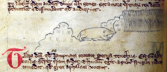Mole, from Bestiary