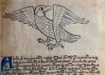 Eagle, from Bestiary