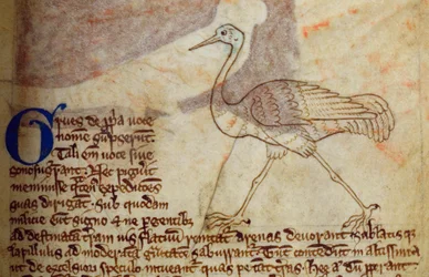 Crane, from Bestiary