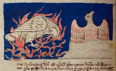Phoenix, from Bestiary