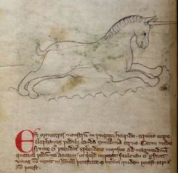 Monoceros, from Bestiary