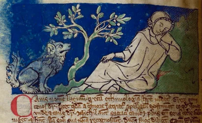 Dog, from Bestiary