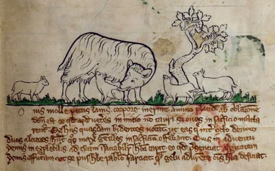 Sheep, from Bestiary