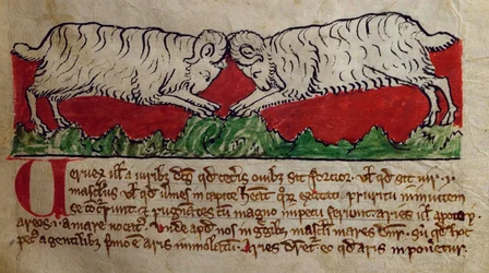 Wether, from Bestiary