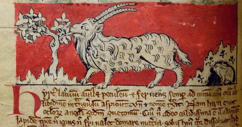 Goat, from Bestiary
