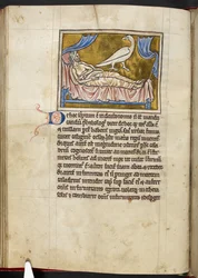 Caladrius Bird - Bestiary, Royal MS 12 C XIX, f.47v