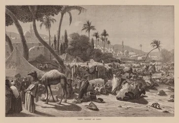 Camel Market at Cairo