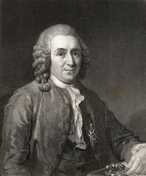 Carl von Linne or Linnaeus from Gallery of Portraits, published in 1833