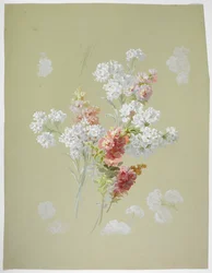 Carpet Design