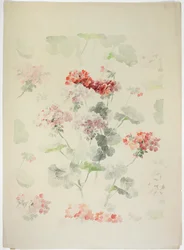 Carpet Design