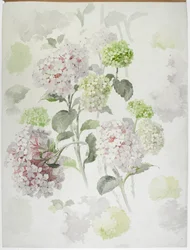 Carpet Design