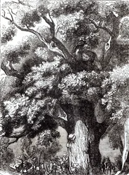 Charles II (1630-85) Hidden in the Oak Tree, 14th October 1651