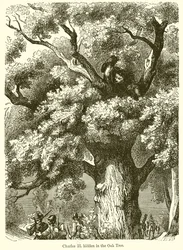 Charles II Hidden in the Oak Tree