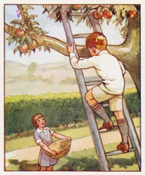 Commands: Climb up the ladder carefully