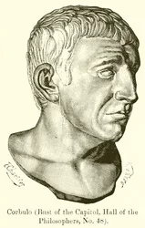 Corbulo