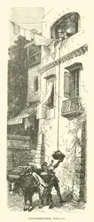 Costermonger, Naples