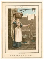 Covent Garden. Strawberries