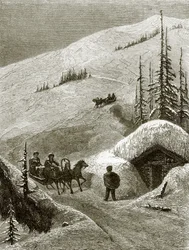 Crest of Mount Surham
