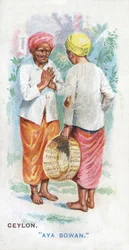 Customary Greeting in Ceylon