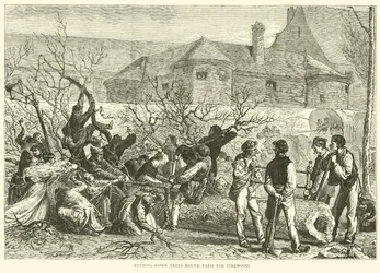 Cutting Down Trees Round Paris for Firewood, October 1870