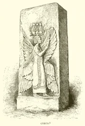 Cyrus