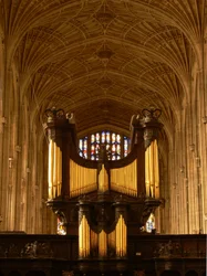 View of the organ and the vaults