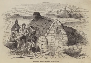 Destitution in Ireland, Failure of the Potato Crop