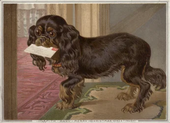 Dog carrying a letter in its mouth