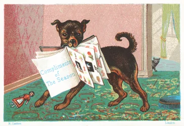 Dog with Book in Mouth