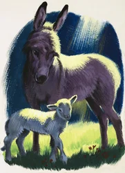 Donkey and lamb