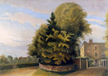 Down House from the North