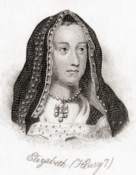 Elizabeth of York