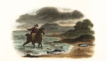 English fisherman Graham hunting salmon in the shallows mounted on horseback with a 5-meter 3-prong spear