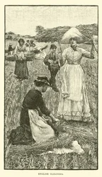 English gleaners