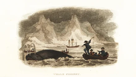 English whalers hunting whales in the Northern Seas near Greenland