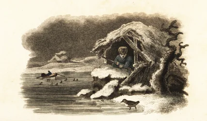 European Water Ouzel Walking into Lake Nantua, France, and Continuing Submerged on the Bottom of the Lake in a Bubble of Air