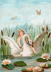 Fairy Riding a White Swan Among Cattails and Lilypads