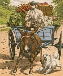 Farmer Grunter Going to the Market at Hog Snorton